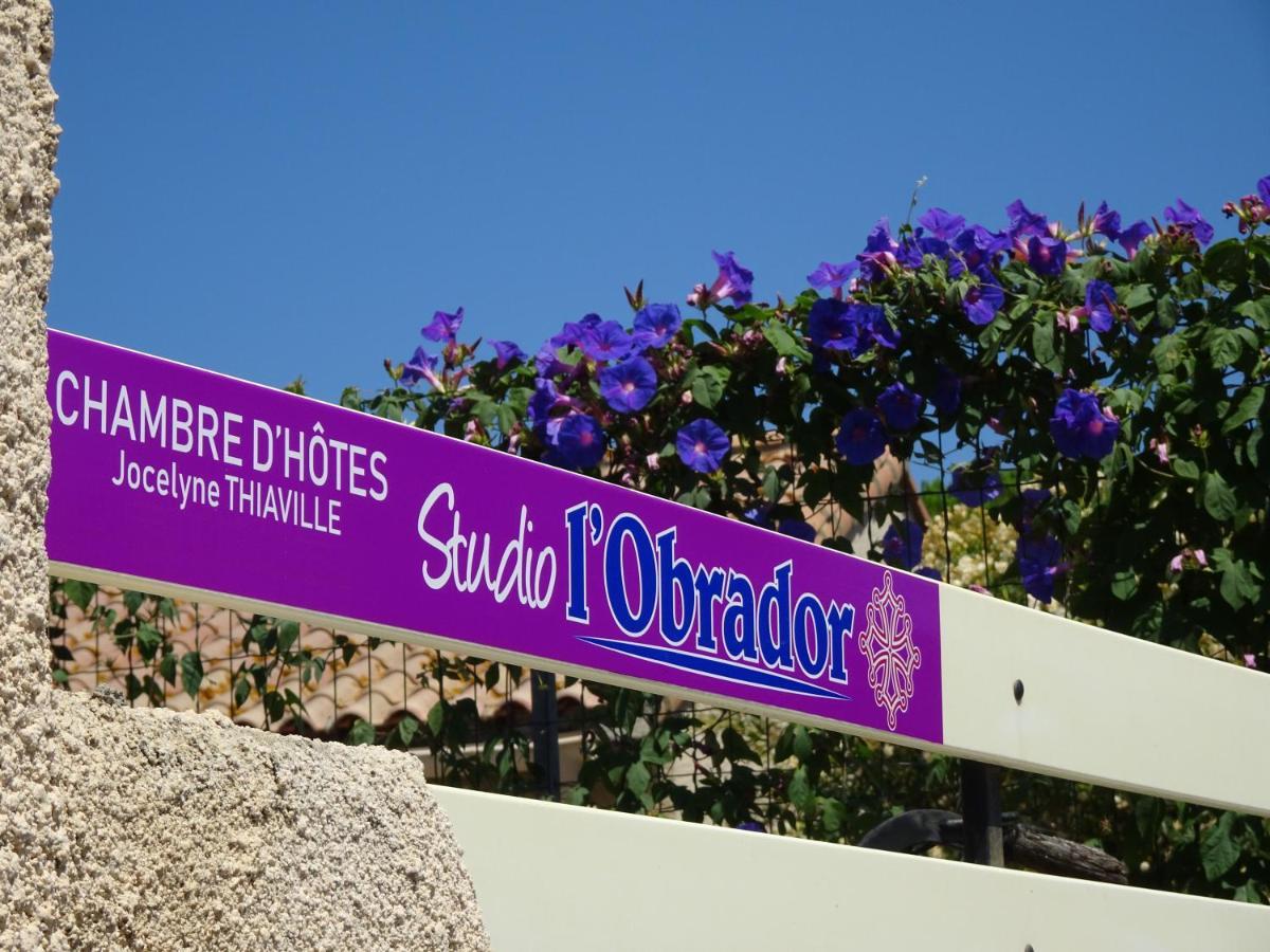 Studio l'Obrador 25 m2, vue jardin&terrasse + accès piscine Rieux-Minervois Esterno foto